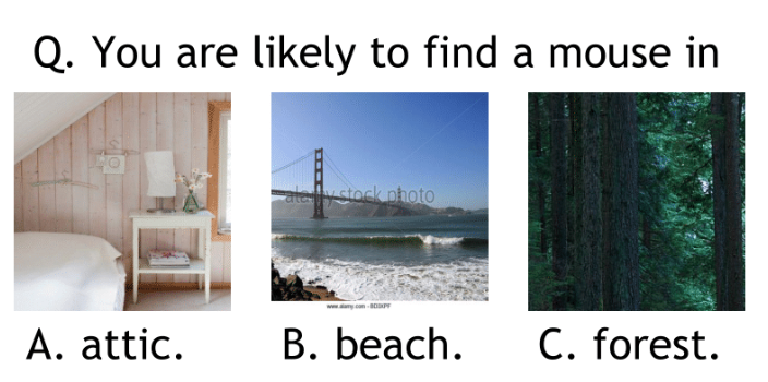 Educational slide with a quiz asking where a mouse is likely to be found, depicting an attic bedroom, a bridge over the ocean, and a forest