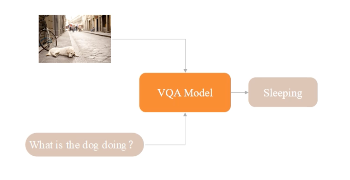 Concept map with "VQA Model" central node, "Sleeping" sub-node, and image of dog lying on pavement with bicycle