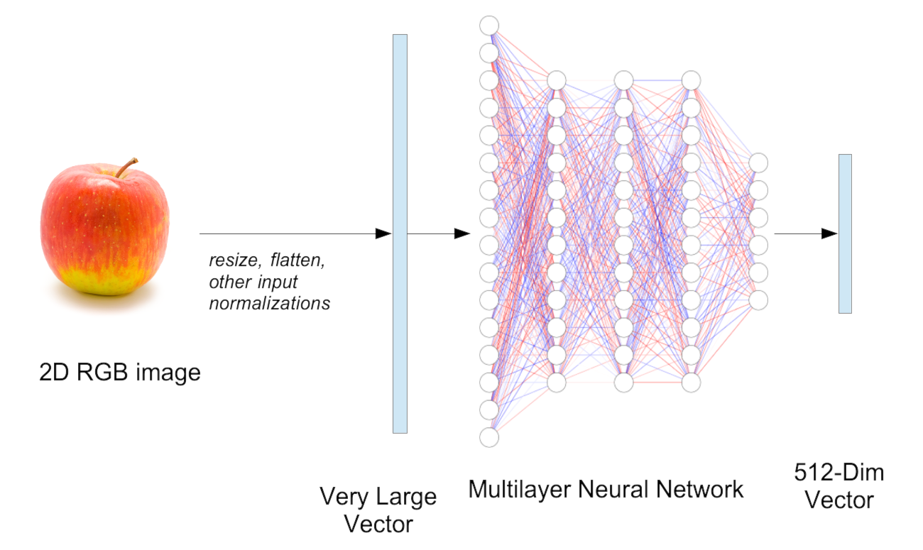 Illustration of an image recognition process with an apple labeled "2D RGB image" undergoing operations like resizing and normalization before being processed by a large neural network vector