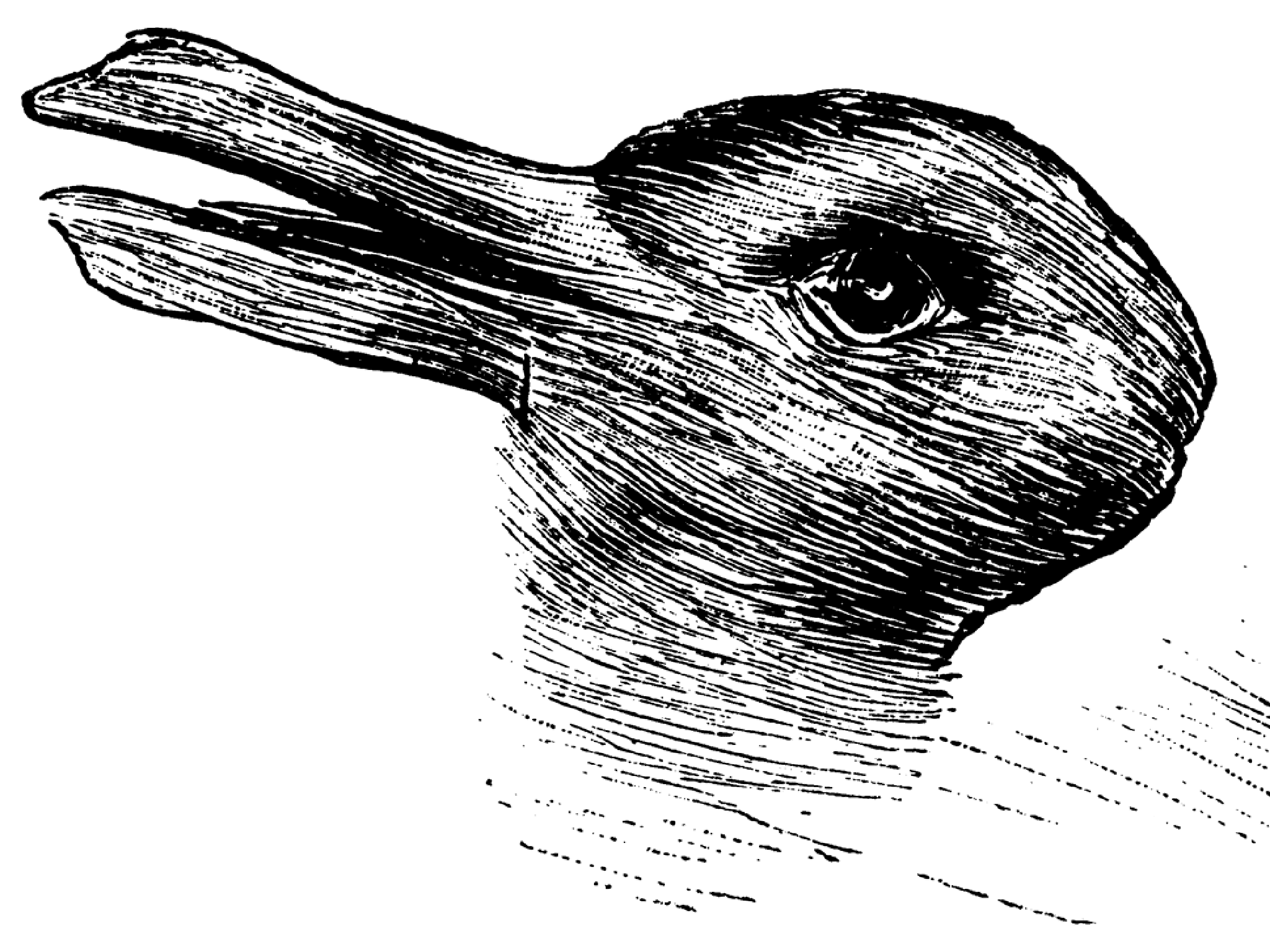 Vintage black and white sketch of a duck's head with an open bill, partially submerged in water