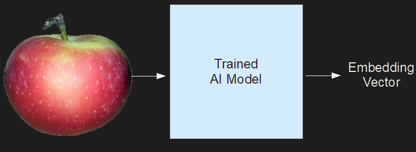 Red apple on the left with arrows pointing to 'Trained AI Model' and 'Embedding Vector' signifying a process