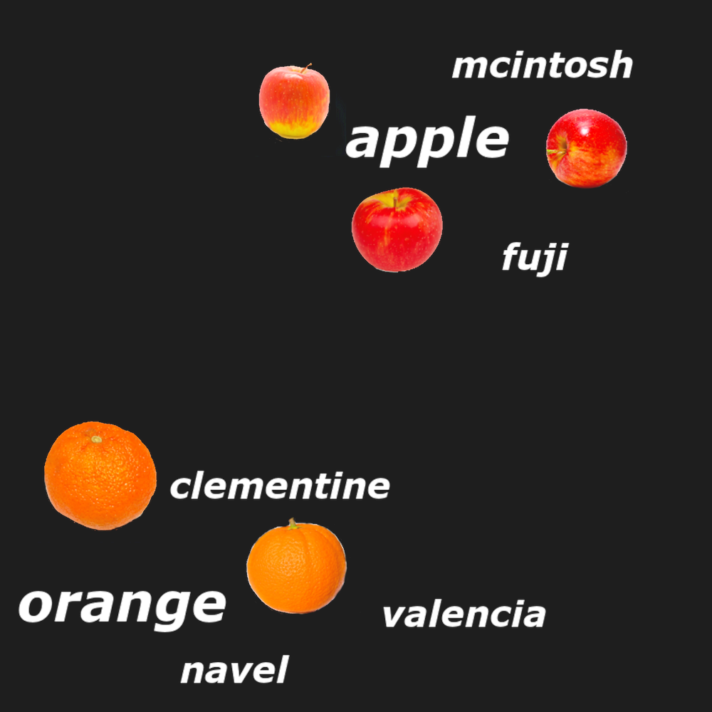 Black background with labeled fruits: three apples (McIntosh, Fuji, Apple) and three oranges (Clementine, Orange, Valencia)