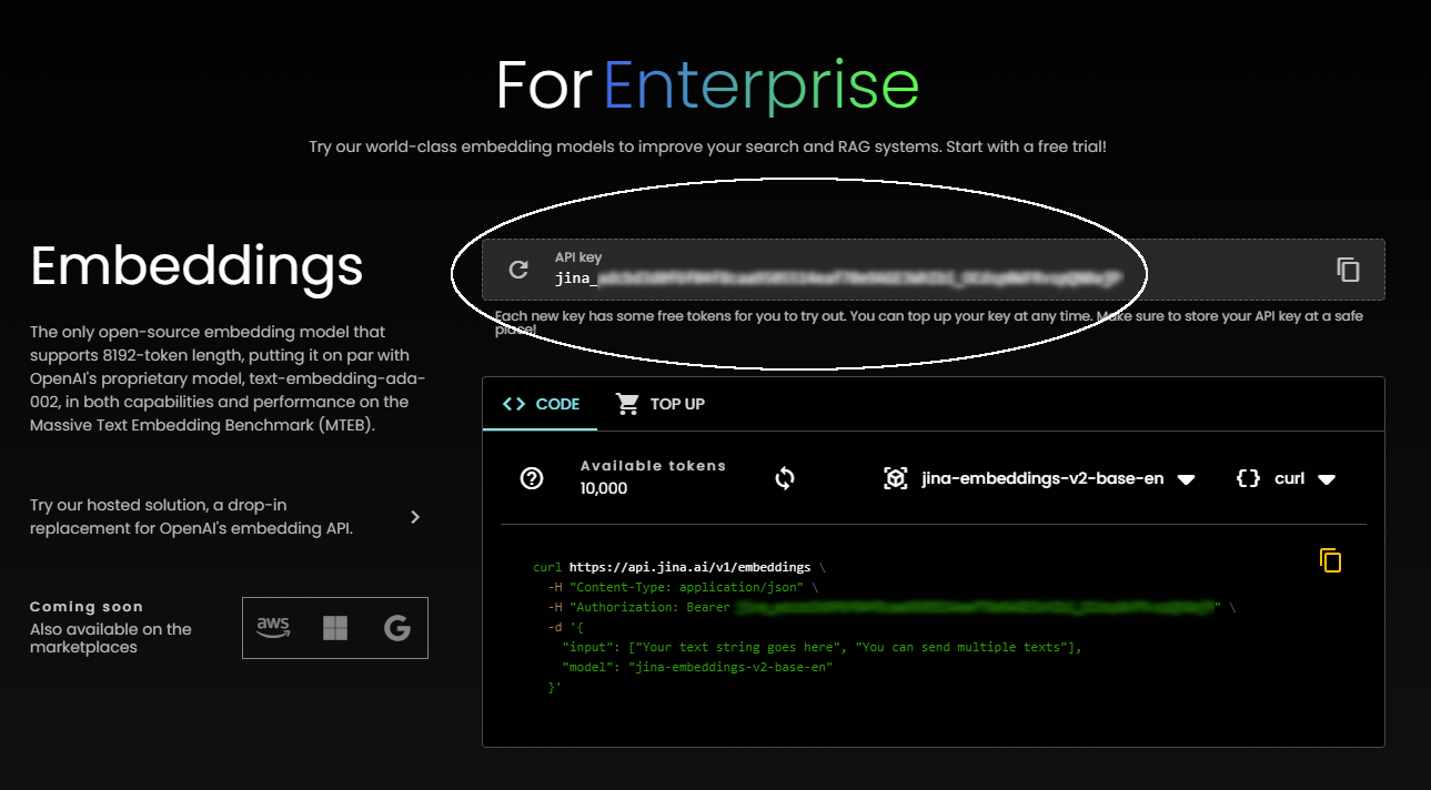 Webpage screenshot highlighting ForEnterprise's services, with call-to-actions urging to try embedding models and API key sign up