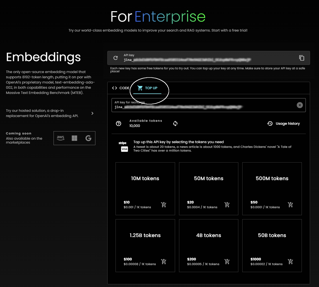 Web interface of For Enterprise embedding models offering token packages for search & RAG systems and pricing details