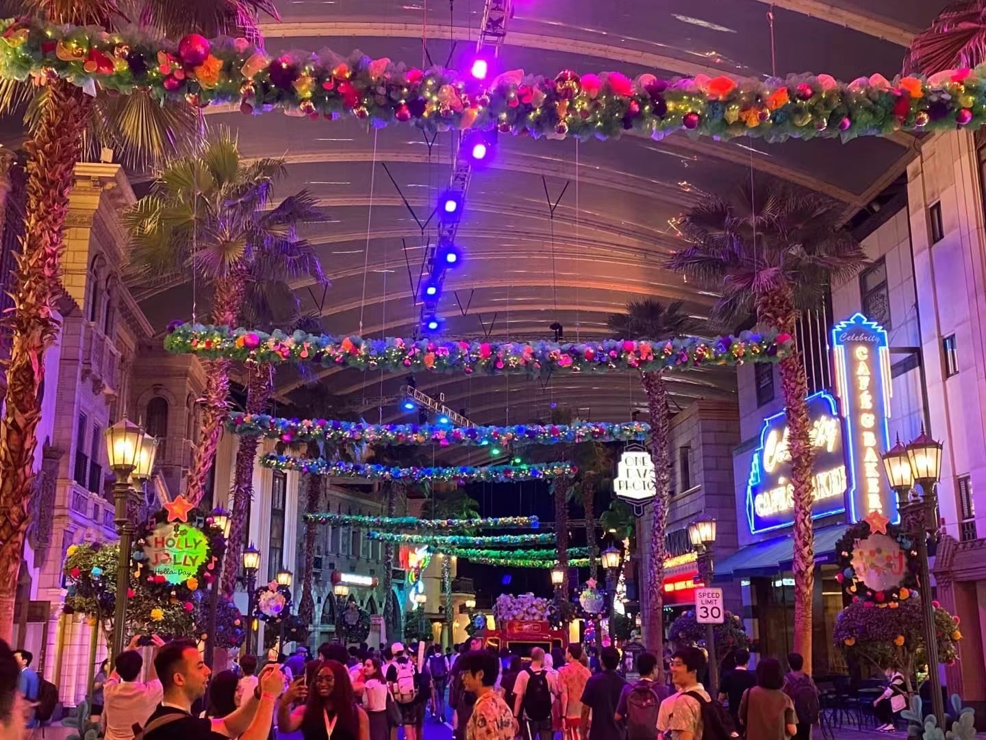 Nighttime pedestrian street bustling with people, adorned with neon lights and colorful floral decorations, with various visible signage
