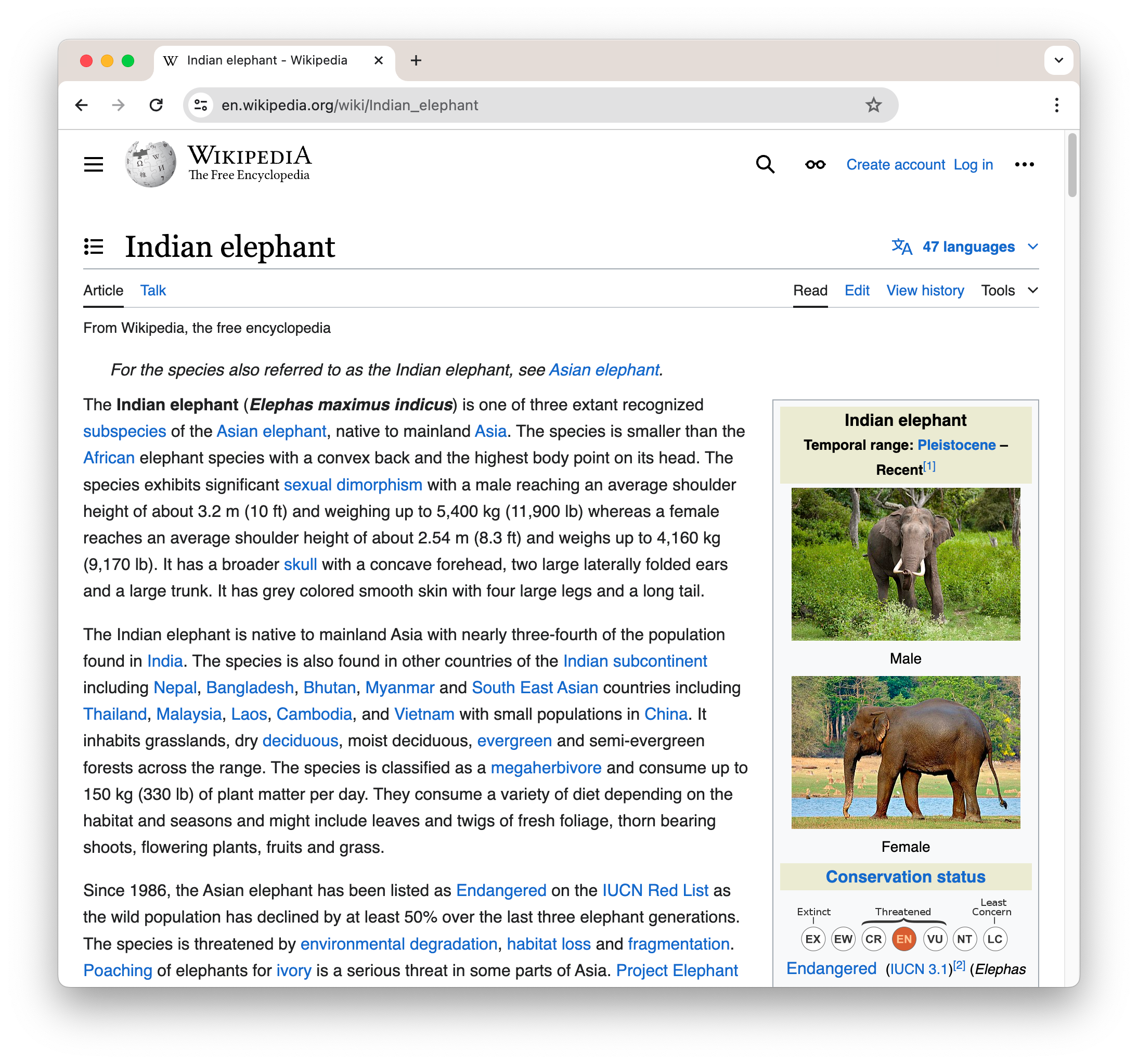 Screenshot of Wikipedia page on Indian elephants, featuring articles, three elephant images, and conservation status.